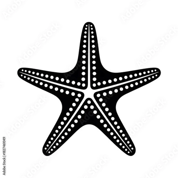 Obraz Detailed white starfish illustration with intricate patterns isolated on transparent background