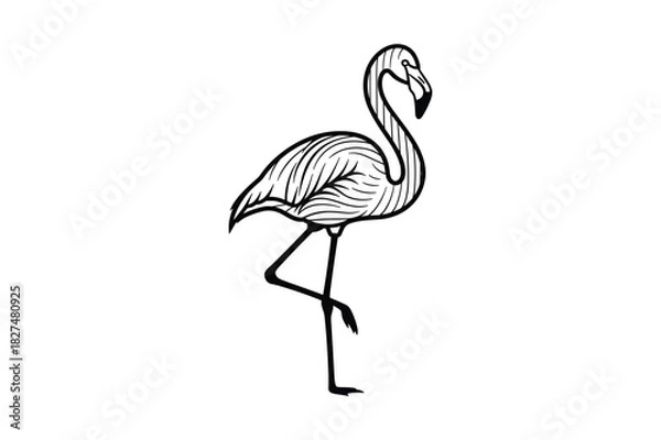 Fototapeta Graceful flamingo line art standing on one leg, a beautiful tropical bird illustration