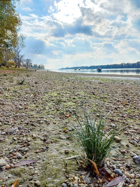 Obraz Small Grass Patch Near Riverbank