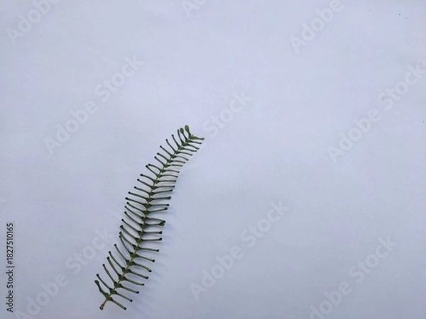 Obraz blue sky background