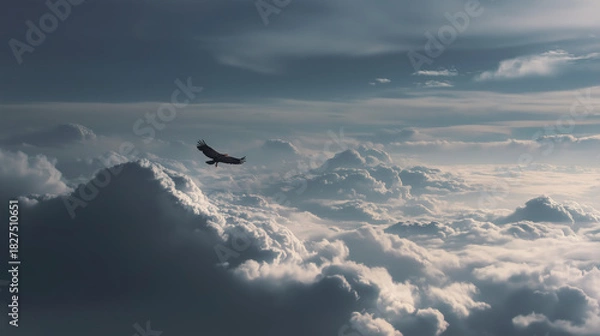Obraz Eagle Soaring Through Cloud Sea, Sky Scene of Freedom and Power for Inspirational Themes and Natural Design Backgrounds