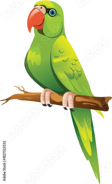 Fototapeta parrot on a branch