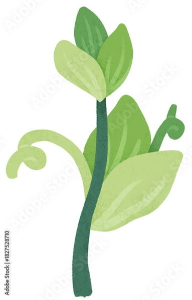 Fototapeta Isolated green branch with leaves illustration. Cute floral doodle for invitation, floral arrangement, journaling, planner, greeting card, and decorative projects.