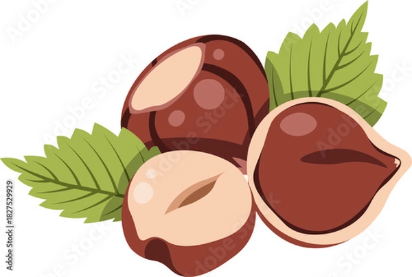 Fototapeta Hazelnut with leaves flat vector illustration isolated on white. Autumn nut collection for seasonal packaging, fall recipe, cafe menu, bakery branding. Ideal for label, sticker, decor, food blog