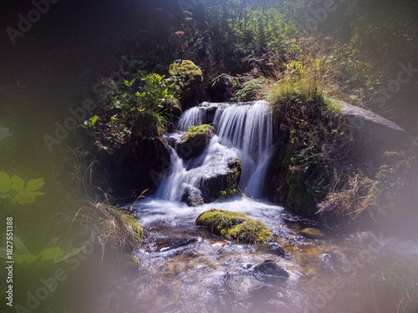 Fototapeta Tranquil mountain stream cascade with silky water flowing over lush mossy rocks