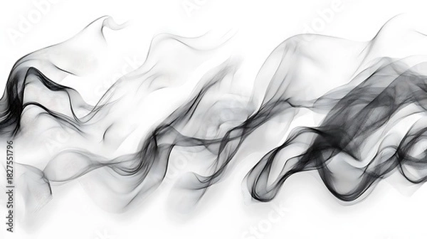 Obraz Flowing Black Smoke Wisps on White Background Keywords: smoke, abstract, black, white, photo