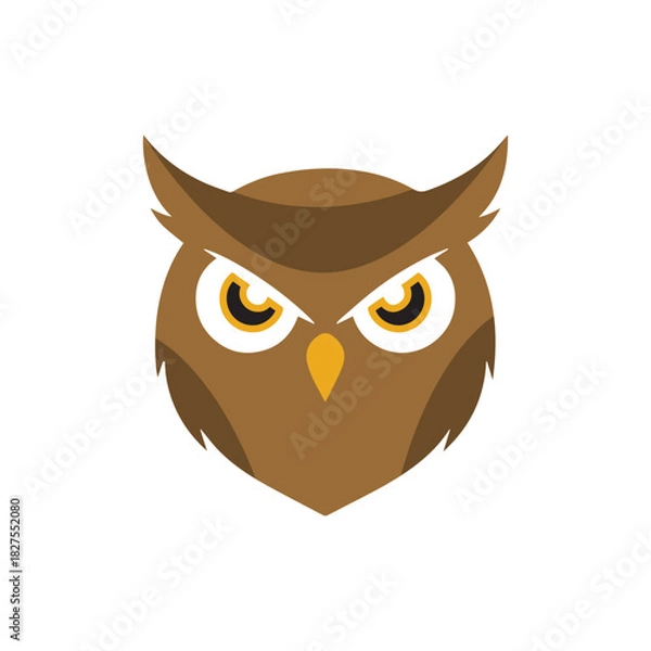 Obraz owl on white background