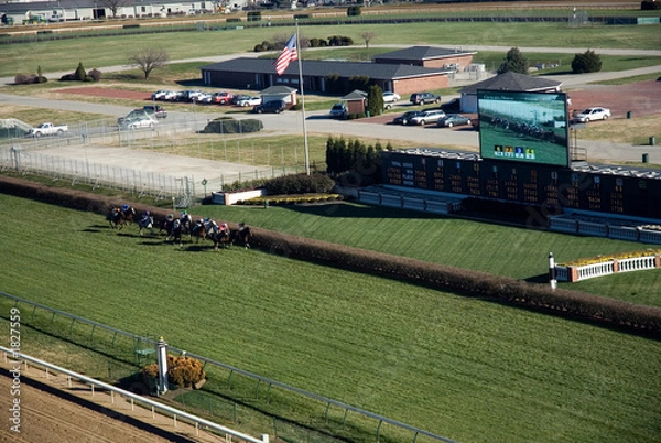 Obraz horse racing
