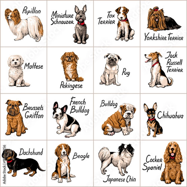 Obraz Zestaw psów. Ilustracji wektorowych.