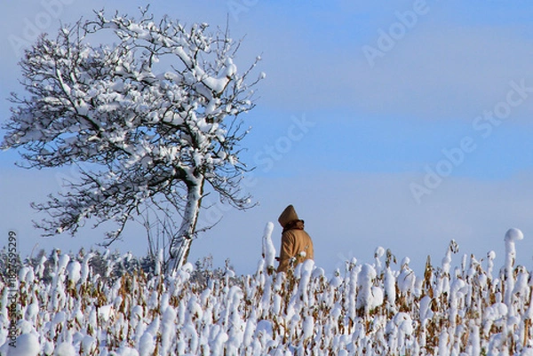 Obraz Winterlandschaft mit Mensch