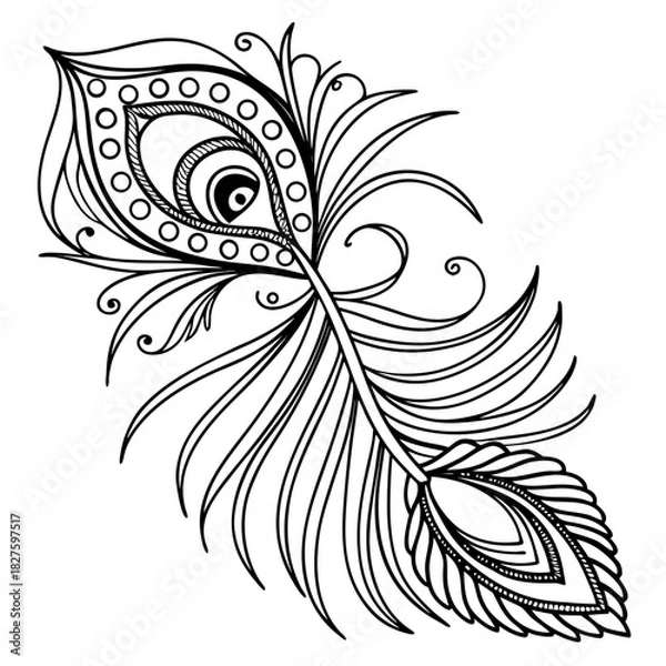 Fototapeta Extremely Fine Line Decorative Peacock Feather Pattern