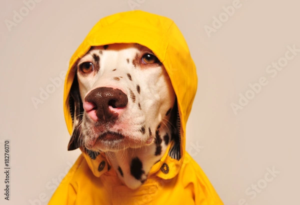 Obraz Im Ostfriesennerz