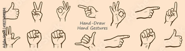 Fototapeta Vector Hand Gestures Collection Thumbs Up Peace OK Pointing Fingers Fist Illustration Set Graphic Design Elements