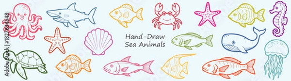 Fototapeta Ocean Animals Fun Colorful Hand Drawn Sea Life Vector Collection Shark Crab Fish Starfish Turtle Octopus Whale Jellyfish