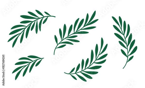 Obraz Olive branches, laurel twigs with leaves set