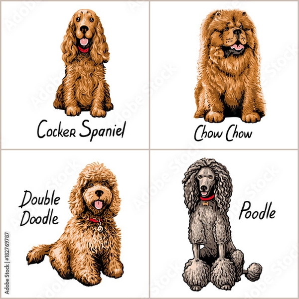Fototapeta Set of dogs. Vector illustration.
