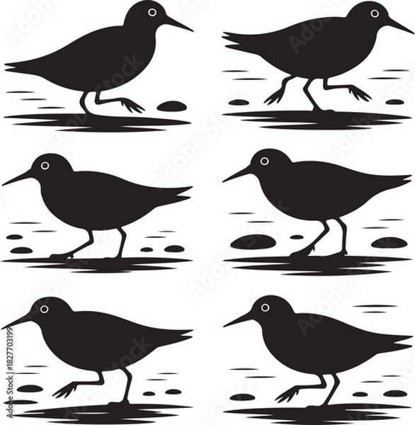 Fototapeta Silhouette of six wading birds walking on rocks and water seamless pattern