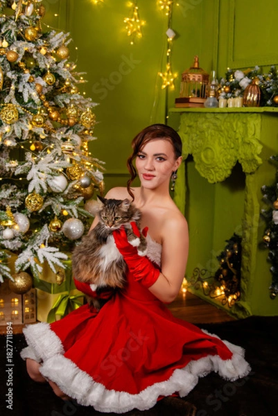 Fototapeta Portrait of a young attractive woman in a red Christmas dress and long gloves posing sitting with a cat in her hands against the background of a Christmas tree and decorations.