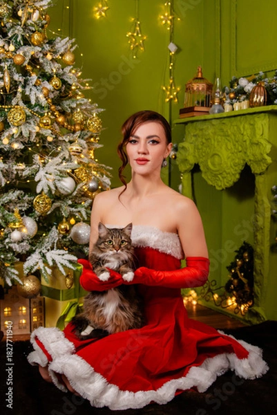 Fototapeta Portrait of a young attractive woman in a red Christmas dress and long gloves posing sitting with a cat in her hands against the background of a Christmas tree and decorations.