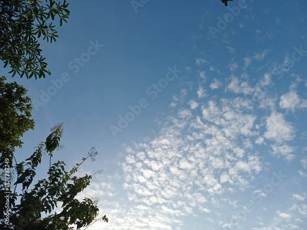 Obraz sky and clouds