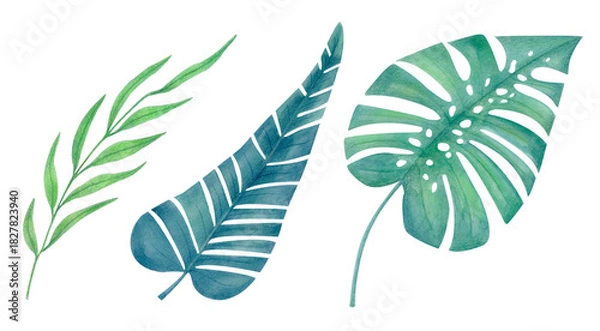 Fototapeta Watercolor tropical leaves set isolated on white. Botanical illustration of exotic jungle foliage in green and blue tones for posters, packaging, eco design projects, summer textile prints or patterns
