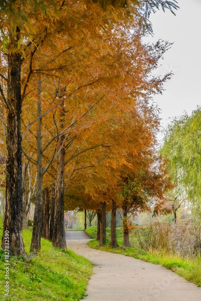 Obraz 갈색으로 물든 가을의 공원 풍경 