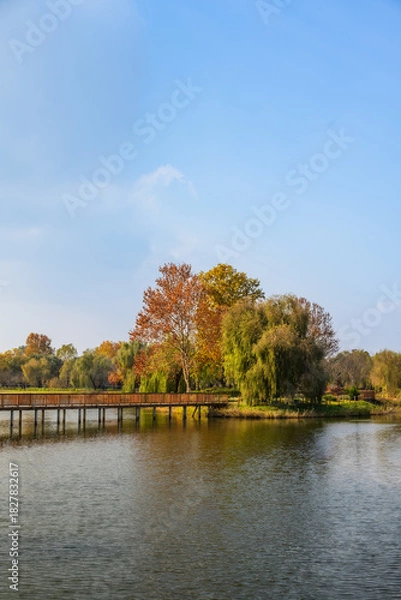 Obraz 가을 단풍으로 물든 연못 풍경 