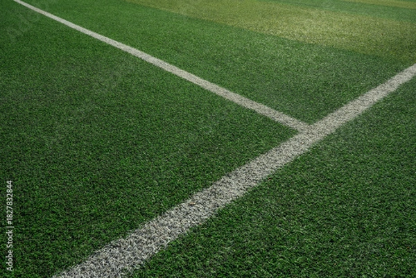 Obraz 잔디와 흰색 라인이 있는 축구 경기장 