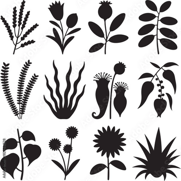 Obraz Variety of different plant silhouettes for graphic design and artwork