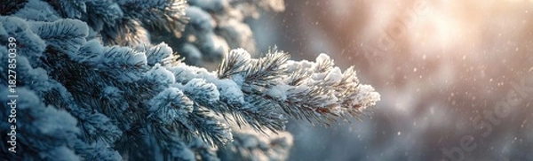 Obraz Close-up of frosted evergreen branches with sunlight and falling snow, evoking winter's peace