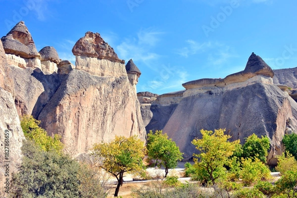 Obraz One of the wonders of the world. View of scenic geological formations and fairy chimneys in a beautiful valley , Cappadocia, Turkey