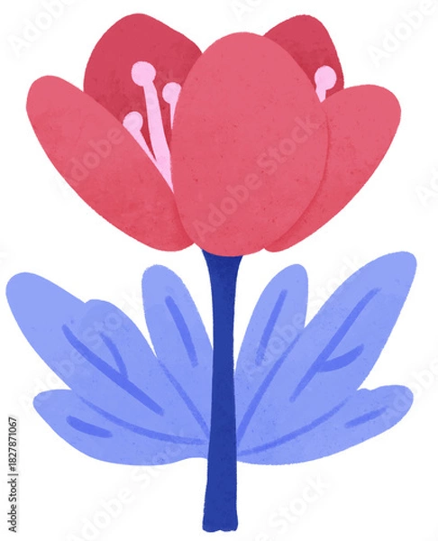 Fototapeta Isolated red flower with purple leaves illustration. Cute floral doodle for invitation, pattern, journaling, planner, greeting card, and decorative projects.