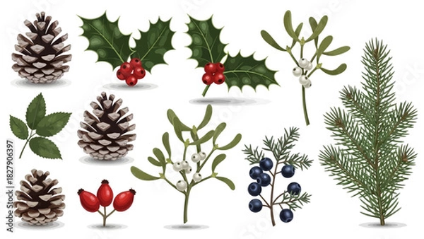 Fototapeta A collection of winter and Christmas botanical elements including pine cones, holly, mistletoe, juniper, rose hips, and fir branches.