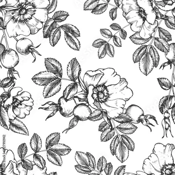 Fototapeta Rosehip hand-drawn ink vector seamless pattern. Ornament with flowers, berries, leaves, and buds. Element for packaging and label design for tea and cosmetics.