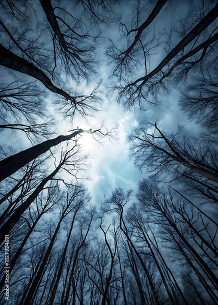 Fototapeta Ethereal Sky Over Desolate Forest
