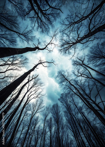 Fototapeta Ethereal Sky Over Desolate Forest