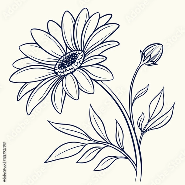 Obraz Hand drawn daisy flower, vector illustration