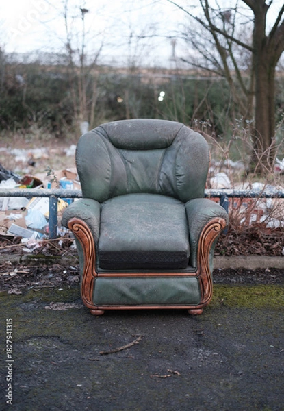 Obraz Fly-Tipped Green Armchair