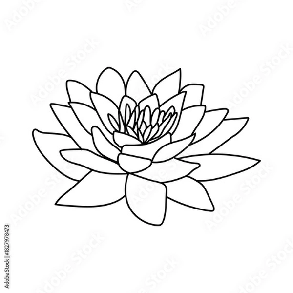 Obraz Elegant outline drawing of a blooming water lily flower