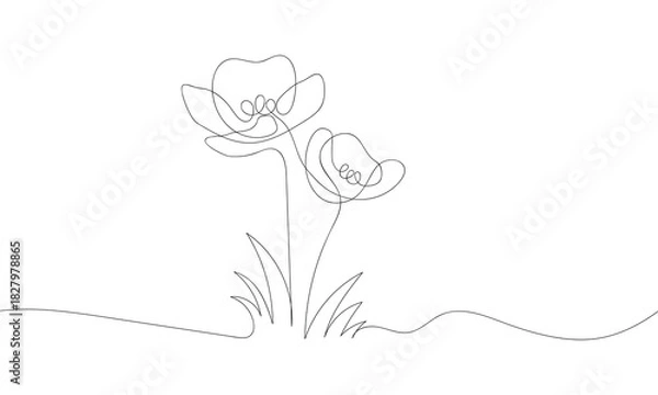 Obraz A simple continuous line art illustration of two blooming poppy flowers with stems and leaves.