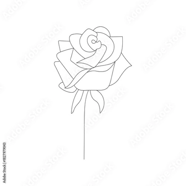 Obraz Elegant single line drawing of a rose flower