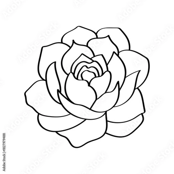 Obraz Elegant black and white line drawing of a blooming peony flower