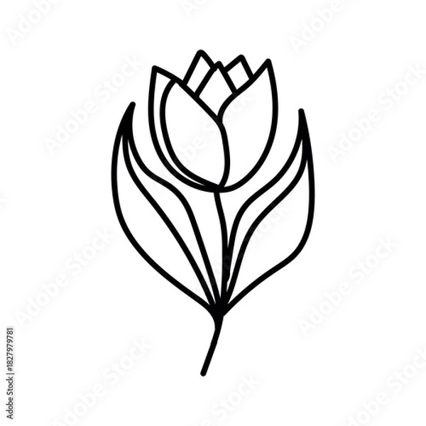 Obraz Elegant single line drawing of a blooming tulip flower