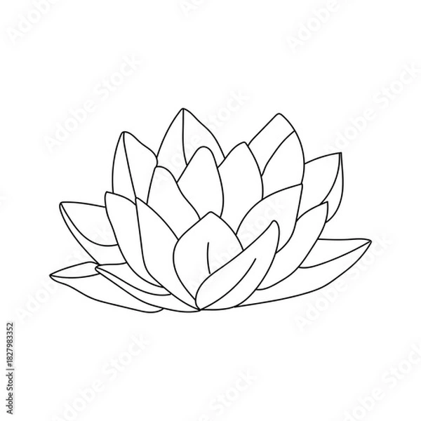 Obraz Simple outline drawing of a blooming lotus flower
