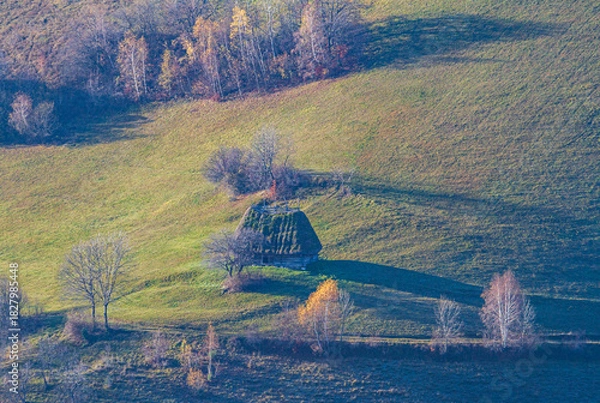 Obraz On the Transapusena, Romania