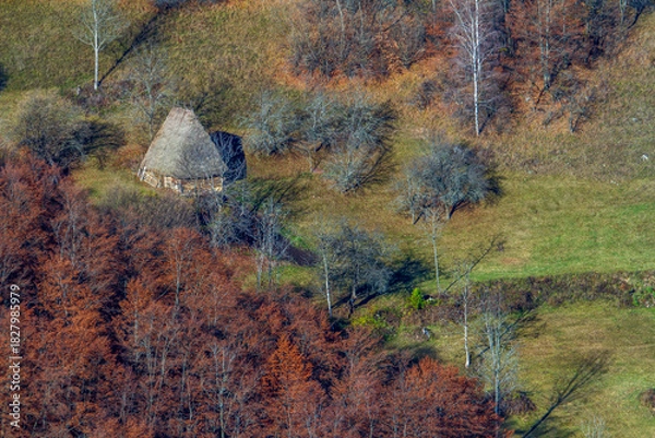 Fototapeta Colors in autumn