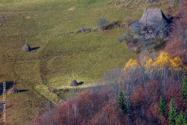 Fototapeta Colors in autumn