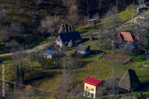Obraz On the Transapusena, Romania