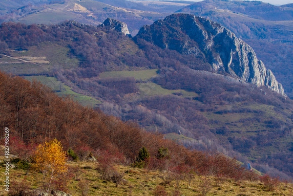Fototapeta Colors in autumn