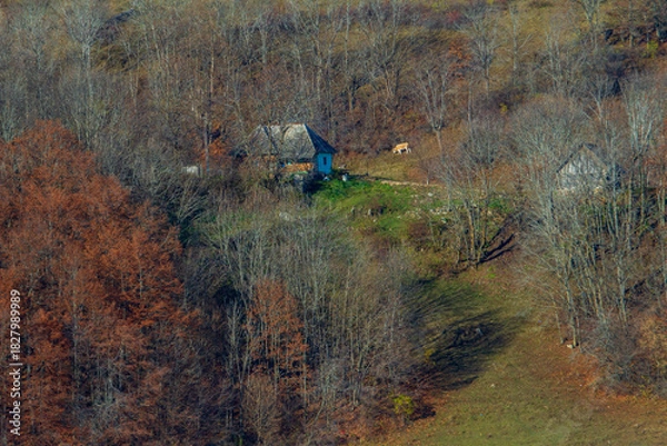Obraz On the Transapusena, Romania